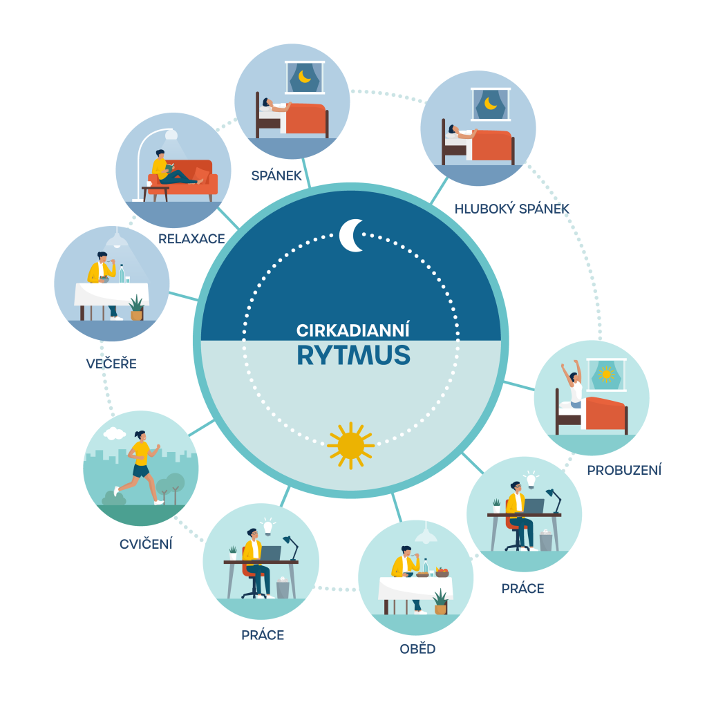 Denní průběh intenzity světla během rána, dne a odpoledne